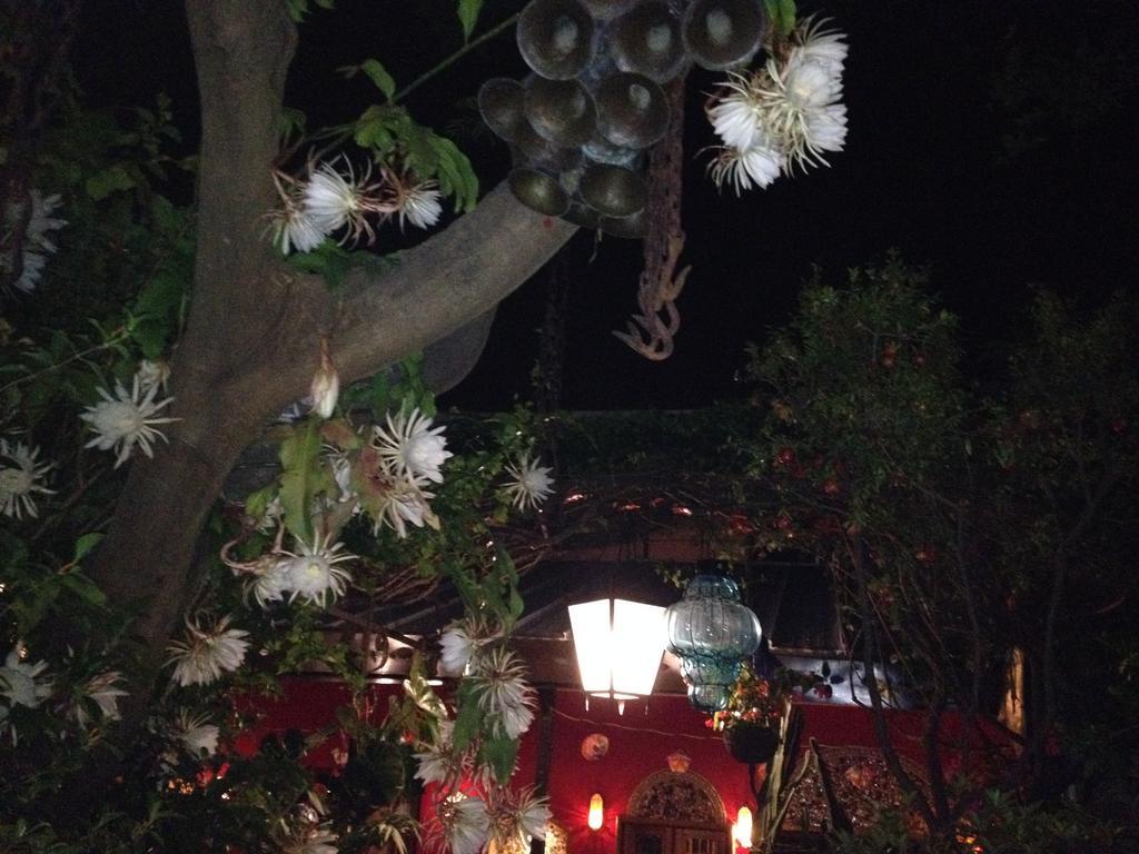 Casa De Las Flores Bed and Breakfast Tlaquepaque Exterior foto