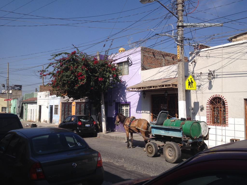 Casa De Las Flores Bed and Breakfast Tlaquepaque Exterior foto