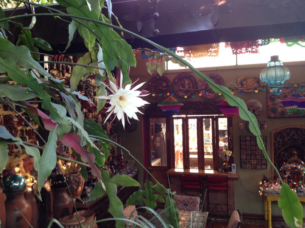 Casa De Las Flores Bed and Breakfast Tlaquepaque Exterior foto