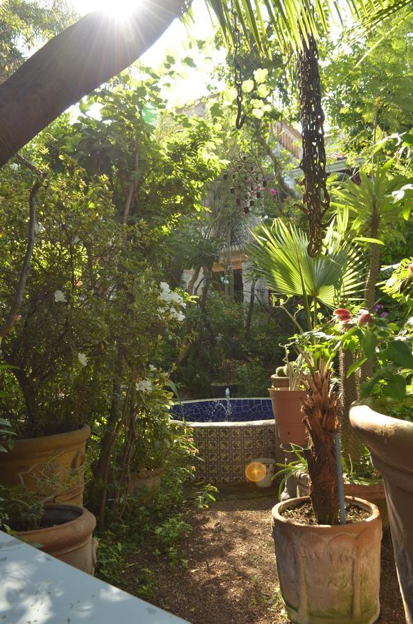 Casa De Las Flores Bed and Breakfast Tlaquepaque Exterior foto