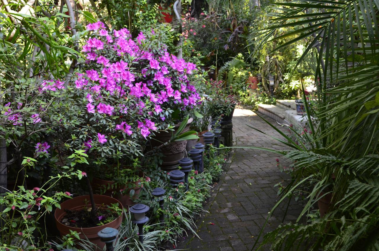 Casa De Las Flores Bed and Breakfast Tlaquepaque Exterior foto